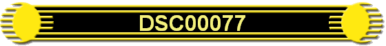 DSC00077