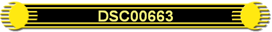 DSC00663