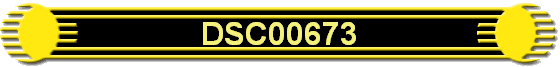 DSC00673