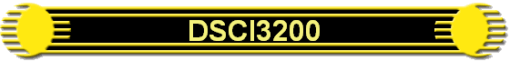 DSCI3200