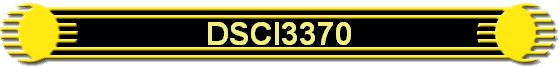 DSCI3370