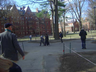 DSCI3533